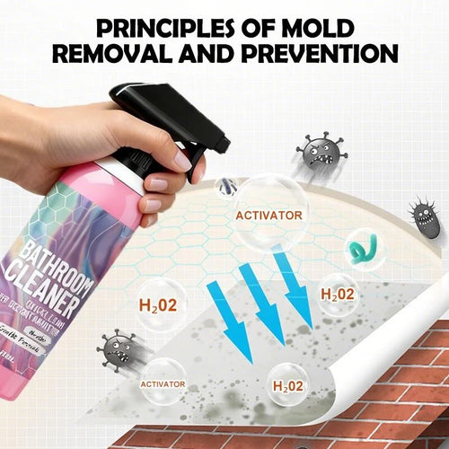 Bathroom Cleaner