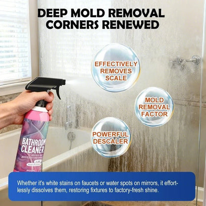 Bathroom Cleaner